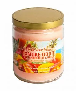 West Coast Gifts Smoke Odor 13oz Exterminator Candles