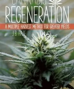BOB Headquarters Cannabis Regeneration: A Multiple Harvest Method For Greater Yields By JB Haze