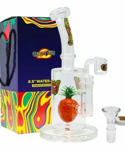 Maple Craft Inc. New Arrivals 8.5" Fruit Perc Waterpipe/ Dab Rig By Ganjavibes