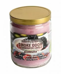 West Coast Gifts Smoke Odor 13oz Exterminator Candles