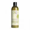 BOB Headquarters Earthly Body Miracle Oil Shampoo & Conditioners