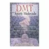 BOB Headquarters DMT: The Spirit Molecule: A Doctor's Revolutionary Research New Arrivals