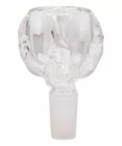 Maple Craft Inc. Bowls Hold In Paw Glass Bowl - 14mm