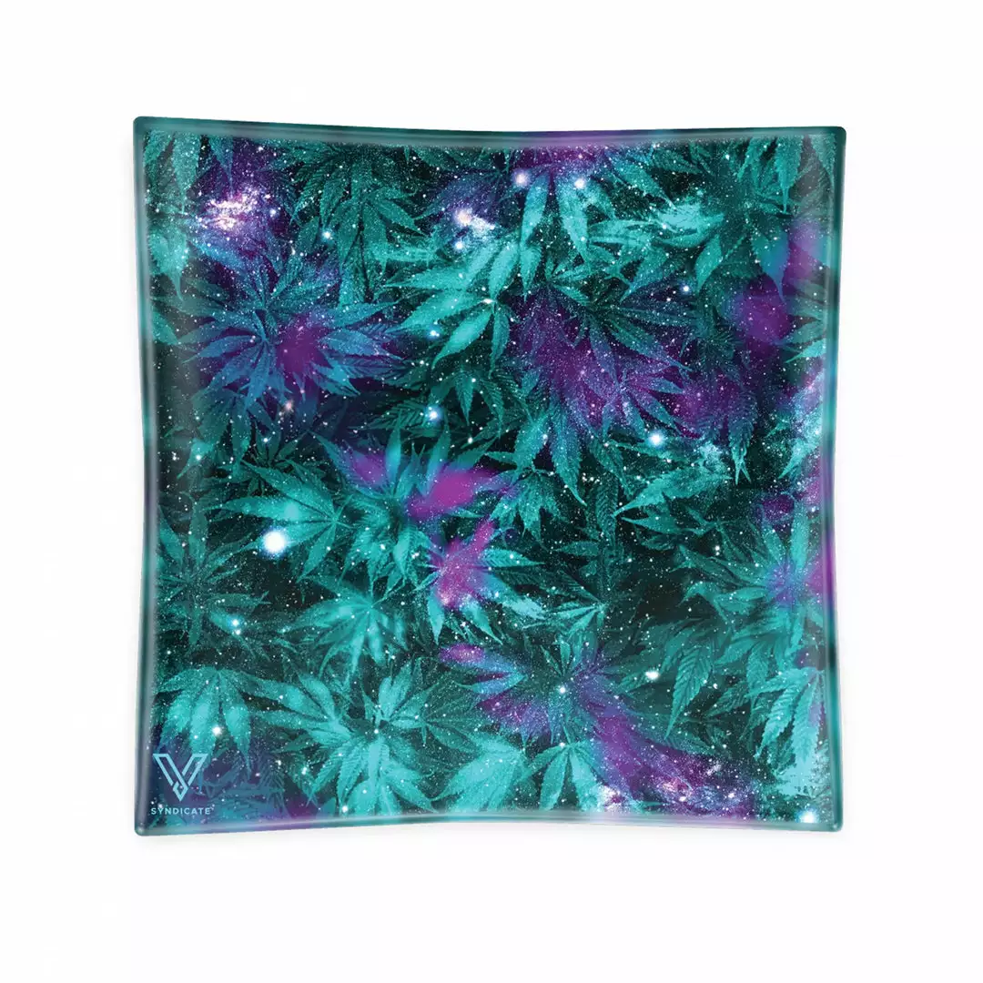 West Coast Gifts V-SYNDICATE Ashtrays