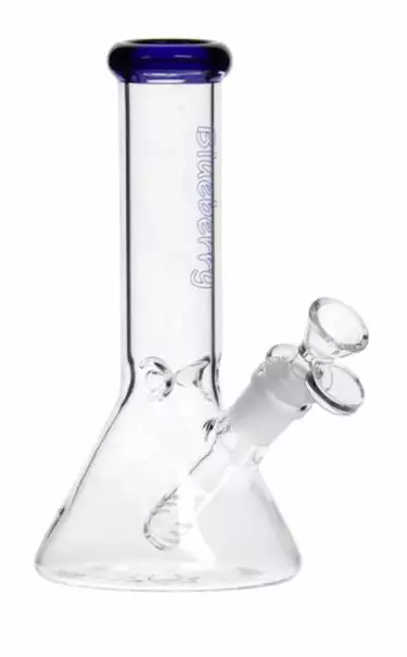 The Smokesman Nice Glass Blueberry Glass 8" Tall Mini Beaker Bong