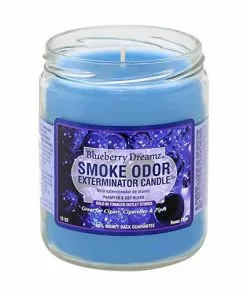 West Coast Gifts Smoke Odor 13oz Exterminator Candles