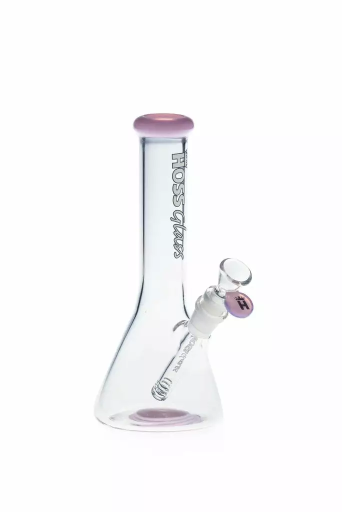 Hoss Glass 9" Mini Beaker Bong