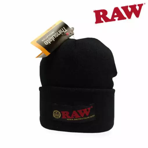 HBI Raw Thinsulated Beanie Apparel