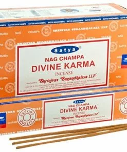 West Coast Gifts Satya Incense - 15g Odor Eliminators