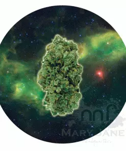 West Coast Gifts My Dab Mats Trays