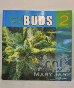 Mary Jane's Headquarters The Big Book Of Buds