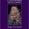 BOB Headquarters Cannabis Encyclopedia, The - Jorge Cervantes