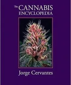BOB Headquarters Cannabis Encyclopedia, The - Jorge Cervantes