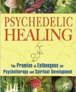 BOB Headquarters Psychedelic Healing: The Promise Of Entheogens For Psychotherapy And Spiritual Development - By Neal M. Goldsmith